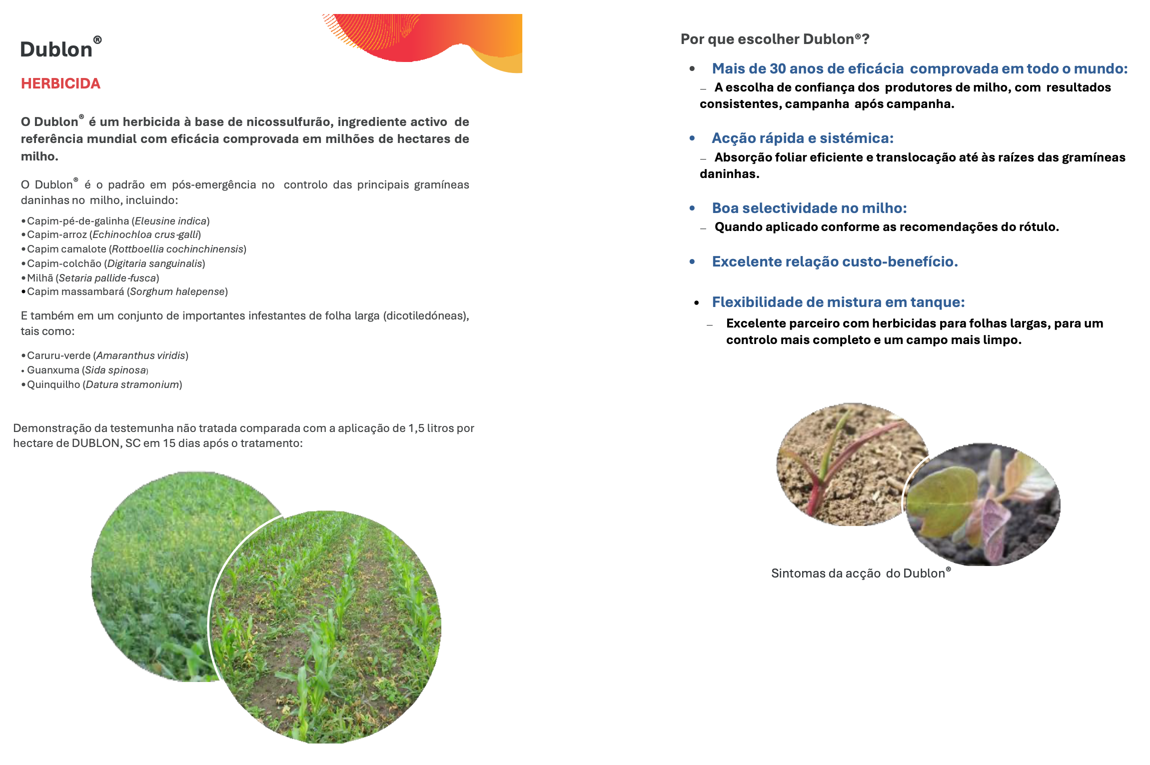 Agrosystems Herbicidas Dublon